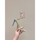 Rᴇɴᴇ Cᴀᴏᴠɪʟʟᴀ Heels Best Quality
Women 35-41
