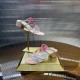 Rene Caovilla Slippers