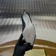 Rᴇɴᴇ Cᴀᴏᴠɪʟʟᴀ Heels Top Quality 
Women 35-41