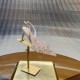 Rᴇɴᴇ Cᴀᴏᴠɪʟʟᴀ Heels Top Quality 
Women 35-41