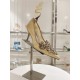 Rᴇɴᴇ Cᴀᴏᴠɪʟʟᴀ Heels Top Quality 
Women 35-41