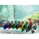 YSL Fashion Shoes Top Quality Collection
Women 35-41