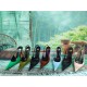 YSL Fashion Shoes Top Quality Collection
Women 35-41