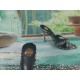 YSL Heels Top Quality Collection
Women 35-41
