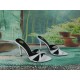 YSL Heels Top Quality Collection
Women 35-41