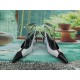 YSL Heels Top Quality Collection
Women 35-41