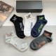 ARC TERYX Socks
