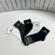 Balenciaga Socks