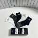 Balenciaga Socks