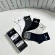 Balenciaga Socks