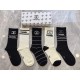 Chanel Socks