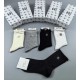 Chanel Socks