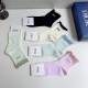 Dior Socks