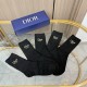Dior Socks