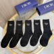 Dior Socks