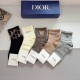 Dior Socks