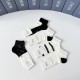 Dior Socks