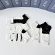 Dior Socks