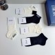 Dior Socks