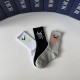Dior Socks