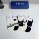 Dior Socks