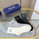 Dior Socks