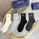 Dior Socks