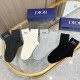 Dior Socks