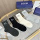Dior Socks
