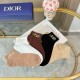 Dior Socks