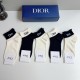 Dior Socks