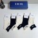 Dior Socks