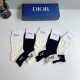 Dior Socks