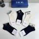 Dior Socks
