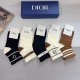 Dior Socks