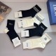 Dior Socks