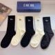 Dior Socks