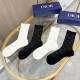 Dior Socks
