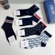 Dior Socks