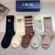 Dior Socks