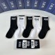 Dior Socks