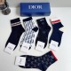Dior Socks