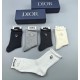 Dior Socks