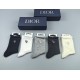 Dior Socks