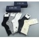 Dior Socks