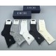 Dior Socks