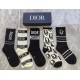Dior Socks
