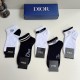Dior Socks