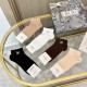 Dior Socks