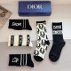 Dior Socks